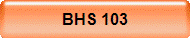 BHS 103